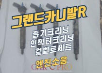 그랜드카니발R 2.2 엔진소음으로 크리닝3종, 겉벨트세트 교환 정비