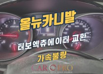 올뉴카니발 가속불량, 출력저하 정비
