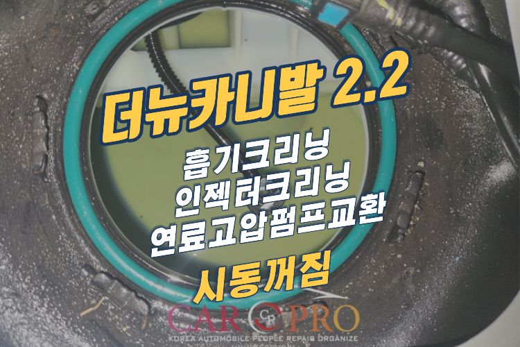 더뉴카니발.jpg 더뉴카니발.jpg