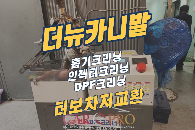 더뉴카니발.jpg