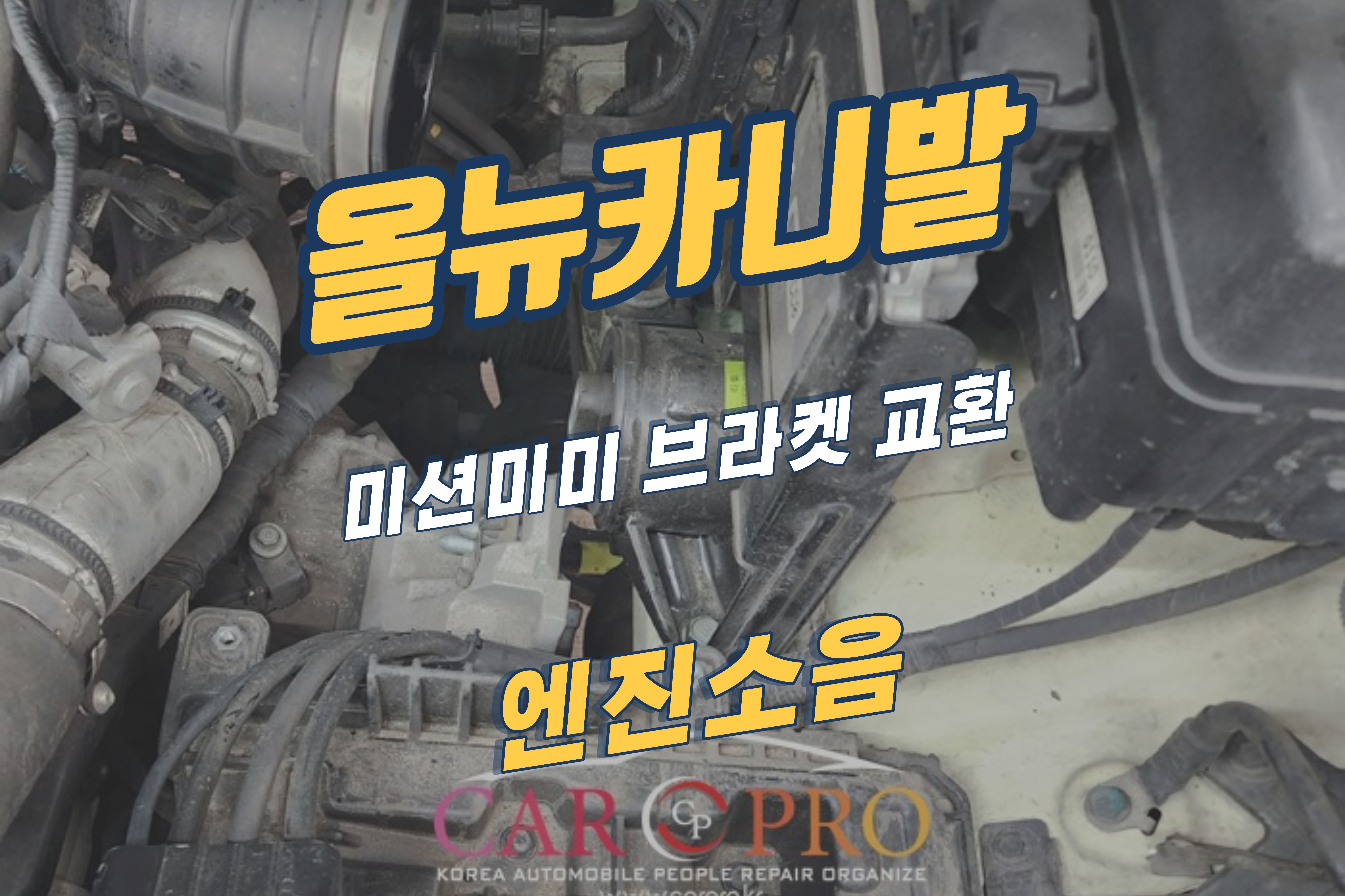 올뉴카니발.jpg