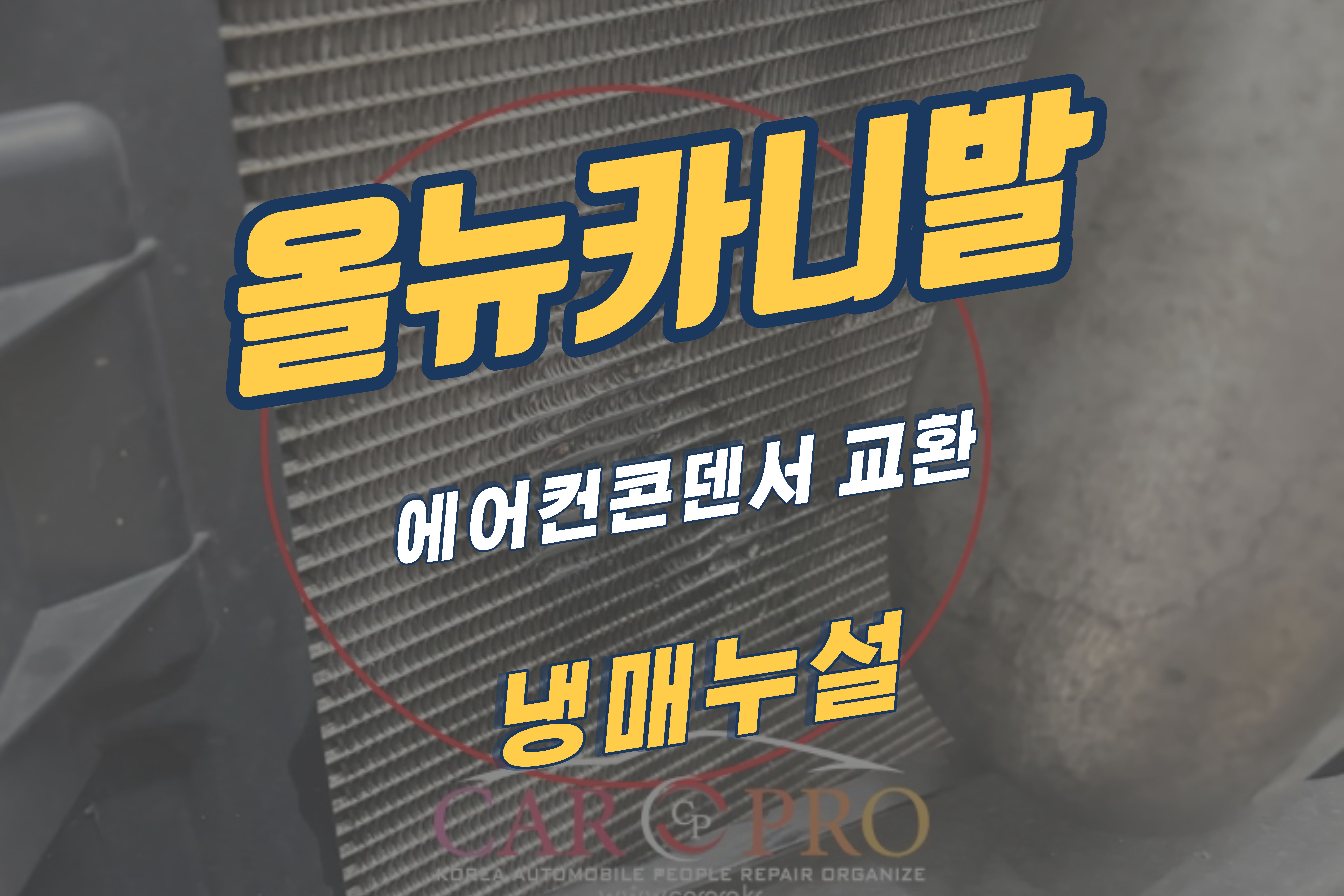올뉴카니발.jpg